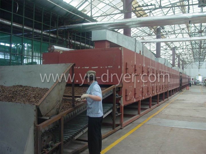 DWC Dehydrated Vegetables Belt Dryer